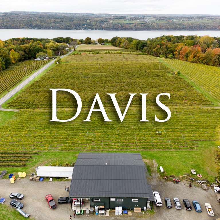 Davis Vineyard